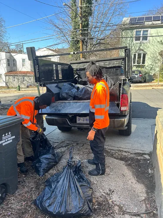 Junk Removal Detail 2